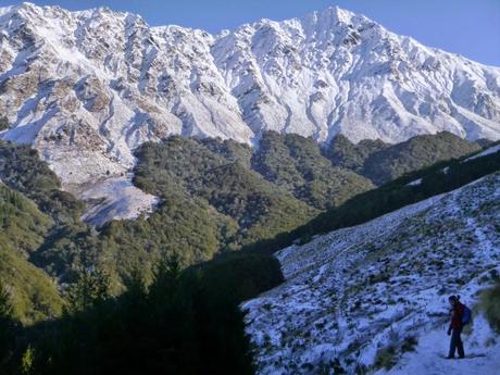 SENDERISMO EN LA ZONA DE QUEENSTOWN: BEN LOMOND TRACK