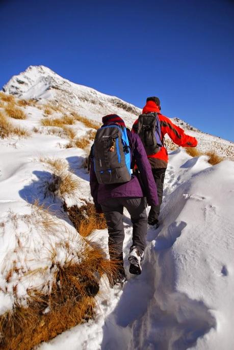 SENDERISMO EN LA ZONA DE QUEENSTOWN: BEN LOMOND TRACK