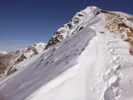 SENDERISMO EN LA ZONA DE QUEENSTOWN: BEN LOMOND TRACK