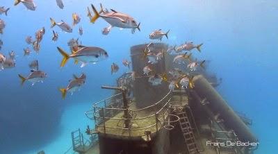 Vista del Kittiwake, Islas Caiman
