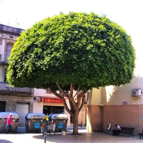 Julio instagramizado Julio instagramizado