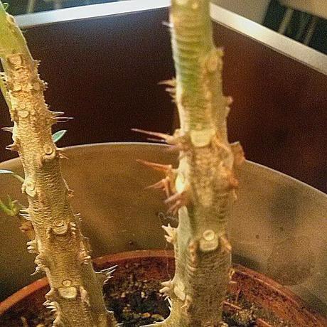 Julio instagramizado Julio instagramizado