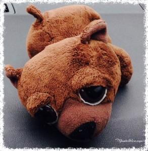 Route 66 Ossy nuestra mascota