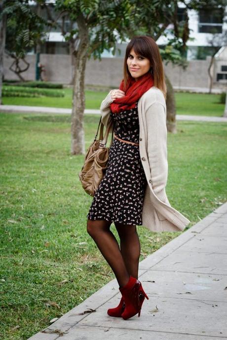 zapatos, Paez, calzado, cartera, ropa de mujer