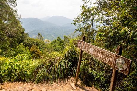 La cima de la colina Bukit Terisek, Taman Negara