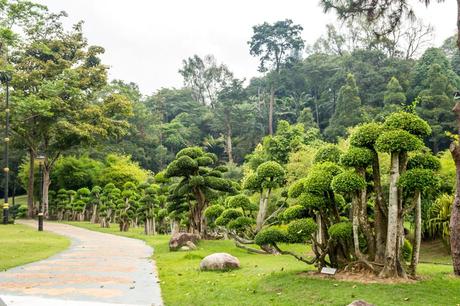 Árboles setas, Kuala Lumpur