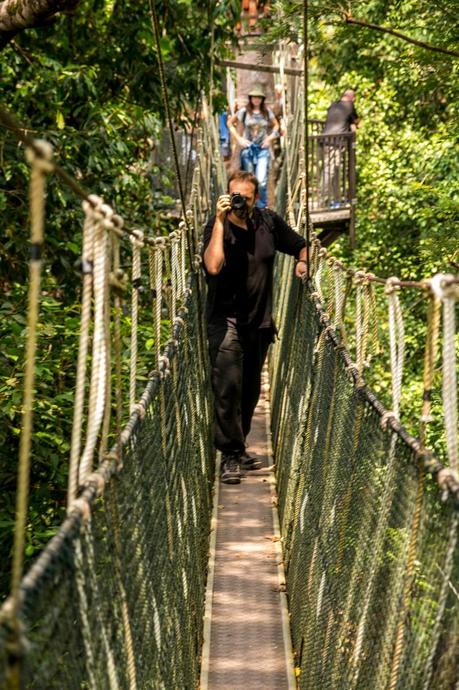 Indiana Jones no hace fotos, Taman Negara