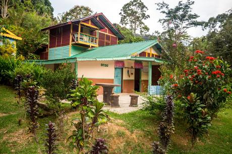 Taman Negara - Jardín Durian Chalets