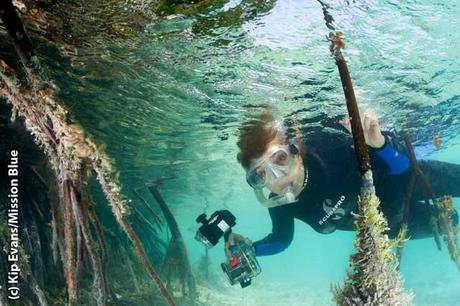 Sylvia Earle