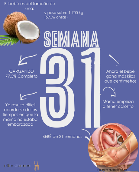 Semana 31 Embarazo | Week 31 Pregnancy