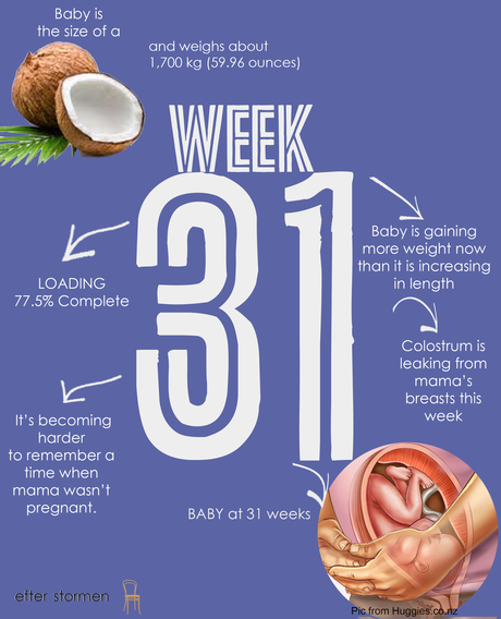 Semana 31 Embarazo | Week 31 Pregnancy