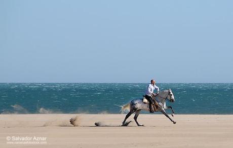 http://www.diariosdeunfotografodeviajes.com/2014/08/playas-de-valencia.html