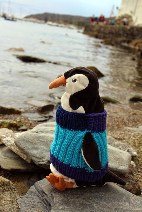 Pingüinos ¿con o sin jersey?