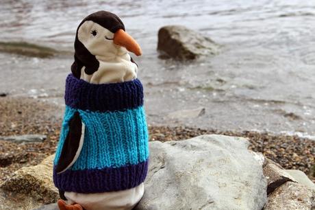 Pingüinos ¿con o sin jersey?