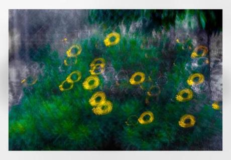 2-Alberto Linares Gonzalez-Giraritas-Sakafotos