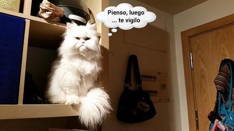 estamos tan agustito