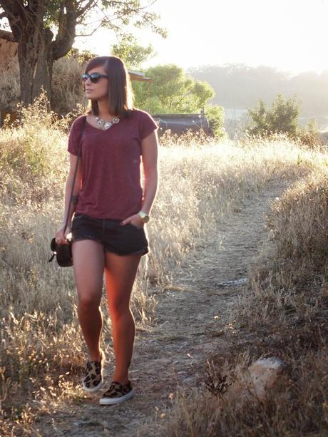 Country World Country World