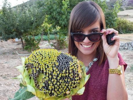 Country World Country World