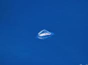 sencillez Velella