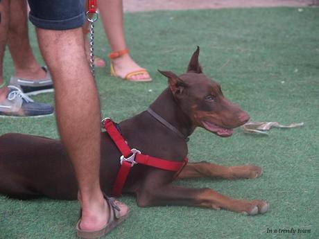 Music and Food! II Envidia, mucha envidia es la que os dará cuando veáis este post EVENTO MUSIC AND FOOD