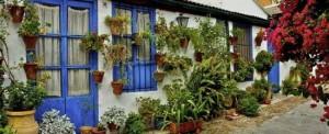 Los patios de Córdoba