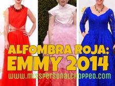 Elegancia EMMY 2014