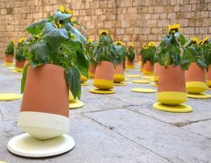 Macetas balanceo: un lugar idóneo para el crecimiento de tus plantas