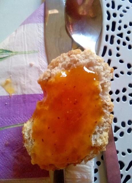 Mermelada de Higos Chumbos