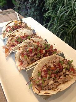 TACOS DE PATO ROSTIZADO