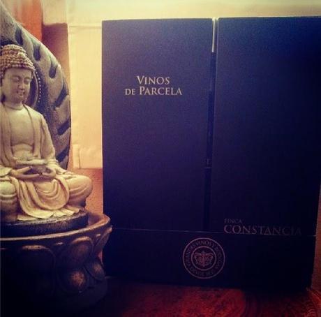 Finca Constancia nos acerca sus vinos de parcela para el verano muy refrescantes Finca Constancia nos acerca sus vinos de parcela para el verano muy refrescantes