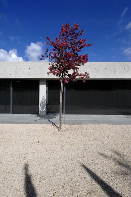 Viviendas emblemáticas IV: Concrete house I