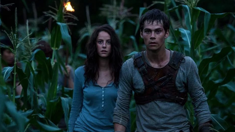 Trailer: El corredor del laberinto (The maze runner) Trailer: El corredor del laberinto (The maze runner)