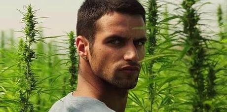 Trailer: El Niño Trailer: El Niño