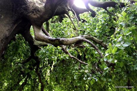 Londres – Gustos a la par IMG_6699-001