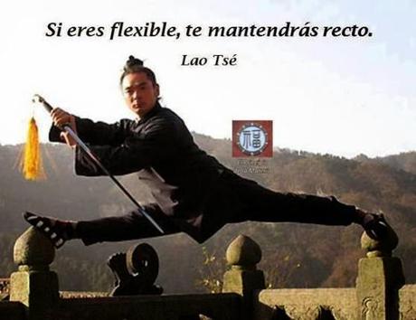 La Importancia de la Flexibilidad para los Sistemas