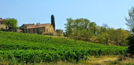 RECUERDOS DE LA TOSCANA... RECUERDOS DE LA TOSCANA...
