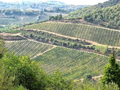 RECUERDOS DE LA TOSCANA... RECUERDOS DE LA TOSCANA...