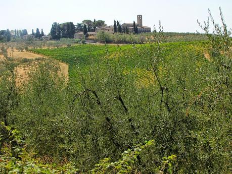 RECUERDOS DE LA TOSCANA... RECUERDOS DE LA TOSCANA...