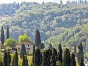 Recuerdos toscana...