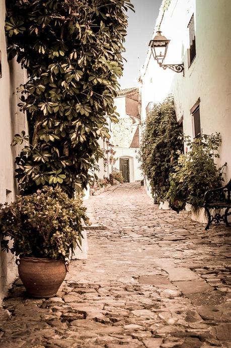 Viaje Hacia La Luz De Castellar