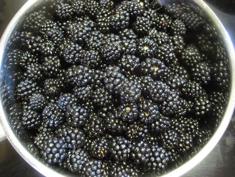 TARTA A LA CERVEZA CON DOS CHOCOLATES Y MORAS