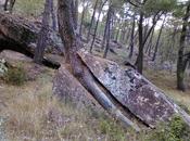 Grandes historias cosas pequeñas-4: lento hachazo árbol sobre roca.