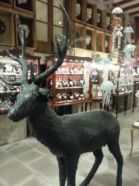 DESCUBRIENDO CATALUYA