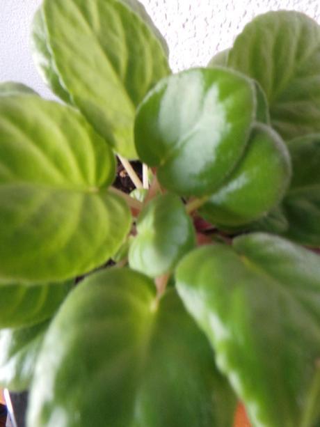 #RetoMes Agosto #RetoMes Agosto II