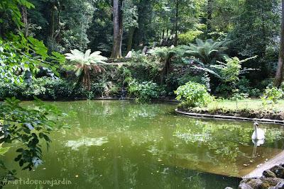 Mata Nacional do Bussaco