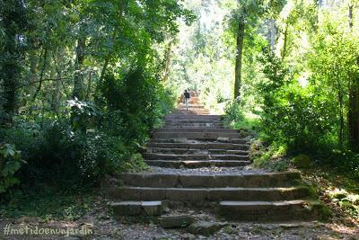 Mata Nacional do Bussaco