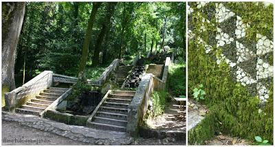 Mata Nacional do Bussaco