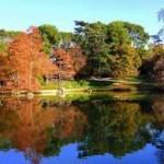 PLANES LOW COST PARA COMBATIR EL CALOR DEL VERANO (III) Especial recuperaciones descarga (1)