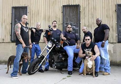 Actos heroicos que salvaron animales en peligro. 