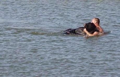 Actos heroicos que salvaron animales en peligro. 